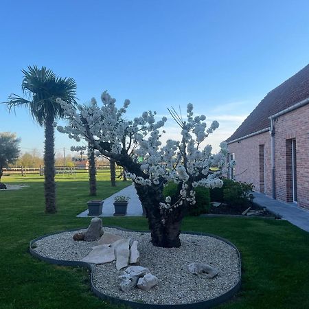 B&B Deso Zonnebeke Esterno foto